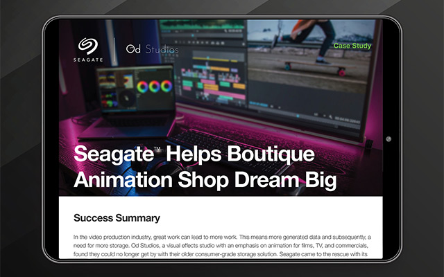 Helping a Boutique Animation Shop Dream Big